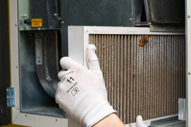 Best Professional Duct Cleaning Services  in Olyphant, PA