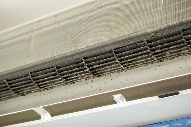Best HVAC Maintenance and Cleaning  in Olyphant, PA